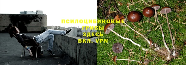 метадон Алзамай