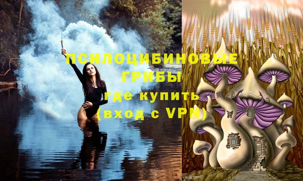 дурь Абаза