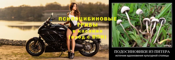 дурь Абаза